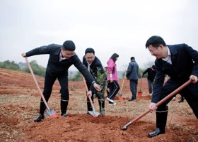 陈远、何朝辉等区领导与机关干部开展示范植树活动