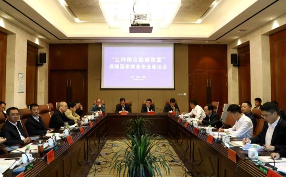鼎城区召开“让种粮也能够致富”保障国家粮食安全座谈会