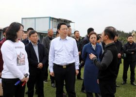 鼎城区乡镇（街道）文旅产业发展暨项目建设调度会举行