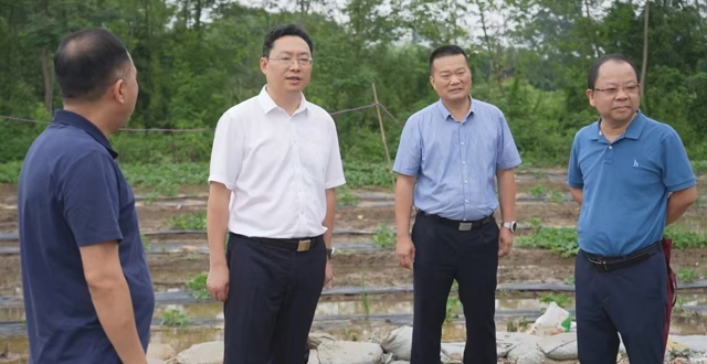 陈远督导检查防汛和安全生产工作