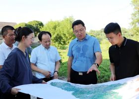 陈远调研052县道沿线区域环境卫生整治工作