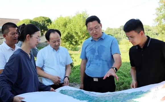 陈远调研052县道沿线区域环境卫生整治工作