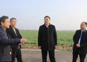 陈远到十美堂镇、蒿子港镇调研农业生产与乡村振兴工作