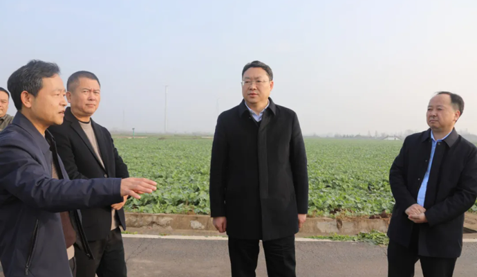 陈远到十美堂镇、蒿子港镇调研农业生产与乡村振兴工作