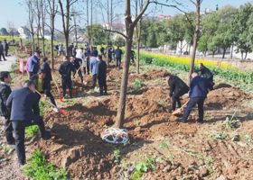 陈远、何朝辉等区领导与机关干部开展示范植树活动