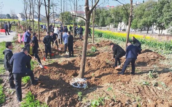 陈远、何朝辉等区领导与机关干部开展示范植树活动