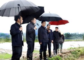 陈远到周家店镇、十美堂镇、中河口镇督导春耕生产工作