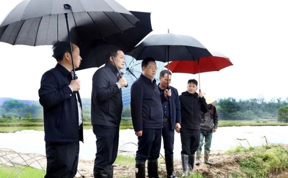 陈远到周家店镇、十美堂镇、中河口镇督导春耕生产工作