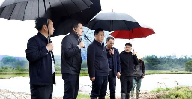 陈远到周家店镇、十美堂镇、中河口镇督导春耕生产工作