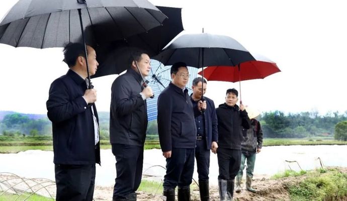 陈远到周家店镇、十美堂镇、中河口镇督导春耕生产工作