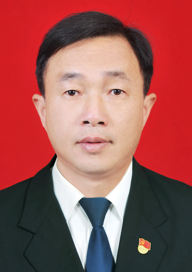 图片1
