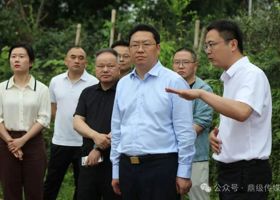 陈远调研港中坪片区建设发展工作