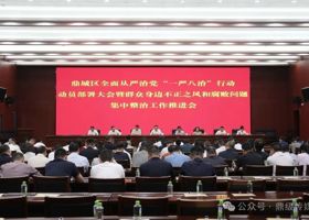 鼎城区召开全面从严治党“一严八治”行动动员部署会暨群众身边不正之风和腐败问题集中整治工作推进会